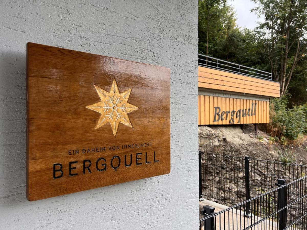Apartmán Haus Bergquell App 2 Willingen  Exteriér fotografie